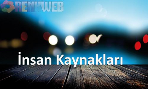 İnsan Kaynakları
